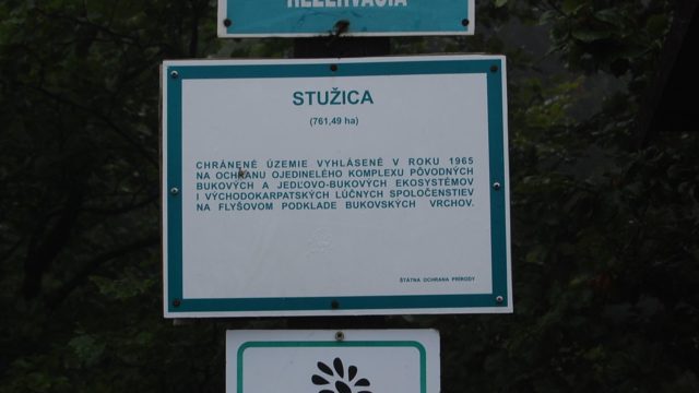 bieszczady-lipiec-2010-037