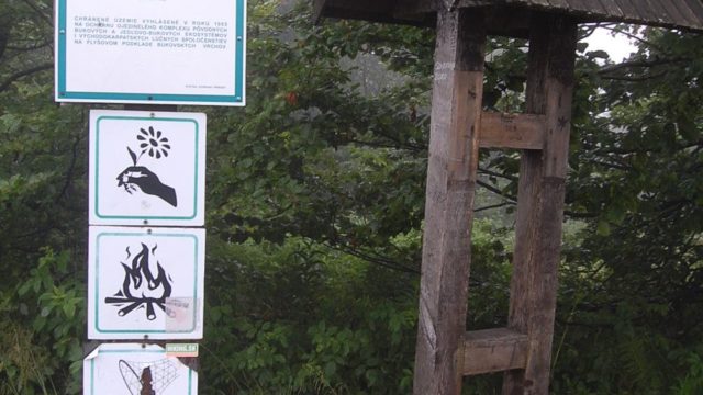 bieszczady-lipiec-2010-039