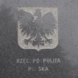 Bieszczadzki trakt w niepogodę 2010