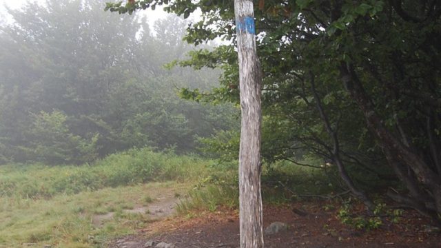 bieszczady-lipiec-2010-055