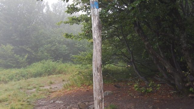 bieszczady-lipiec-2010-056
