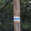 Bieszczadzki trakt w niepogodę 2010