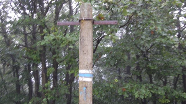 bieszczady-lipiec-2010-069