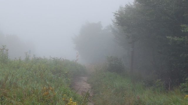 bieszczady-lipiec-2010-072