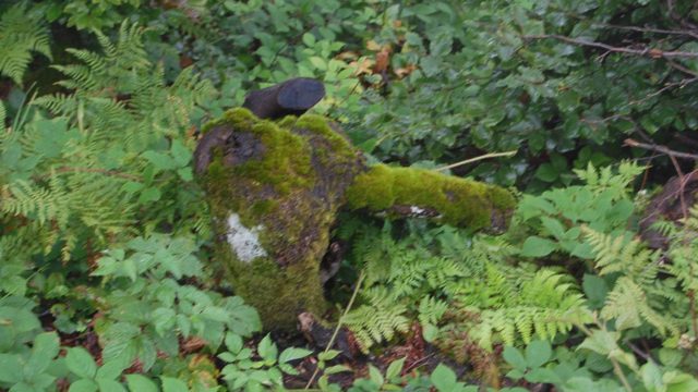 bieszczady-lipiec-2010-090