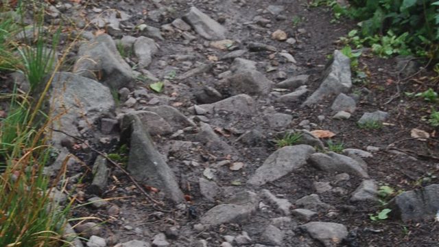 bieszczady-lipiec-2010-091
