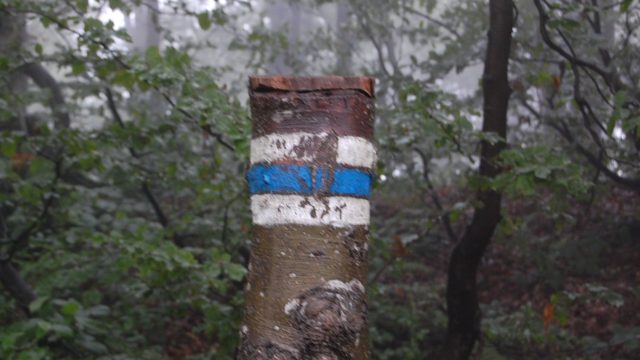 bieszczady-lipiec-2010-094