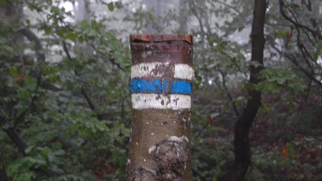 bieszczady-lipiec-2010-095