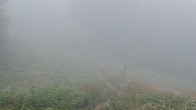 bieszczady-lipiec-2010-101