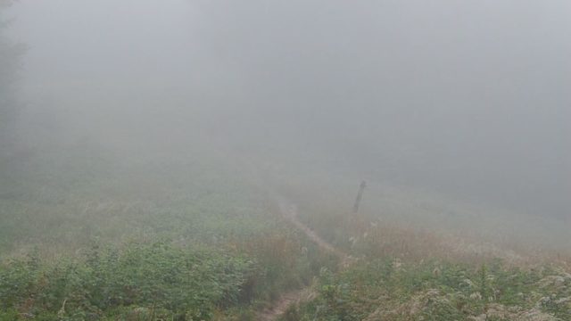 bieszczady-lipiec-2010-102
