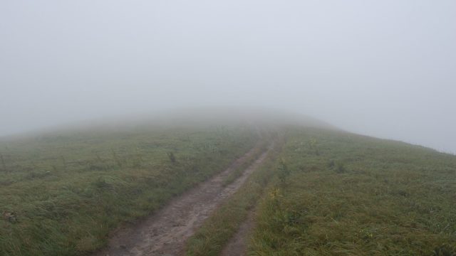 bieszczady-lipiec-2010-109