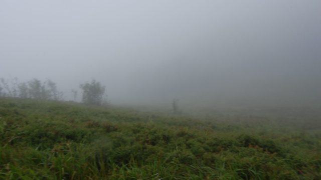 bieszczady-lipiec-2010-121