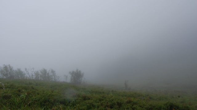 bieszczady-lipiec-2010-124