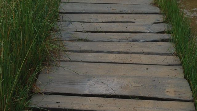 bieszczady-lipiec-2010-128