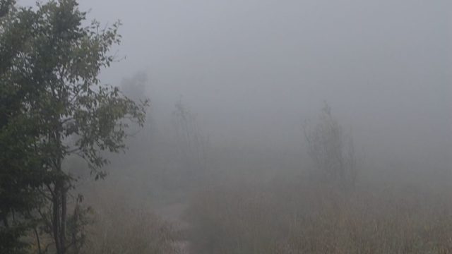 bieszczady-lipiec-2010-129
