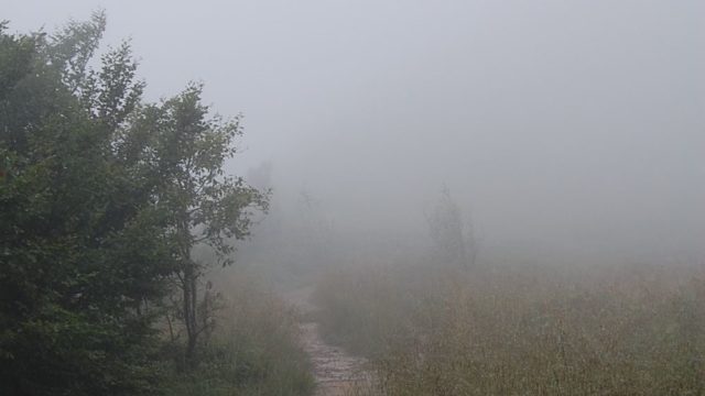 bieszczady-lipiec-2010-131
