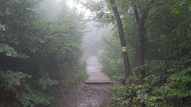 bieszczady-lipiec-2010-132