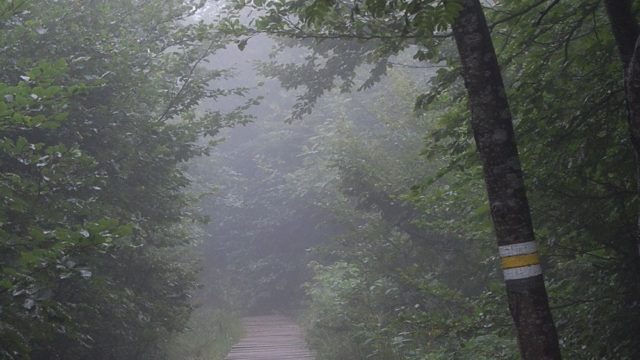 bieszczady-lipiec-2010-133