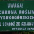 Bieszczadzki trakt w niepogodę 2010