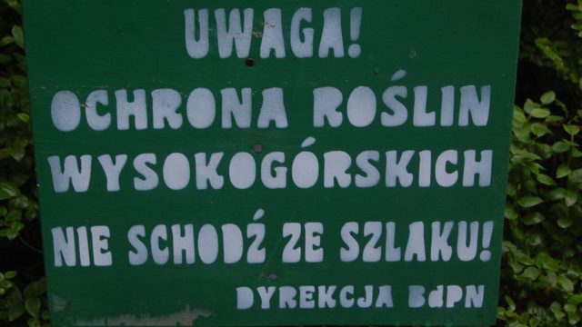 bieszczady-lipiec-2010-134