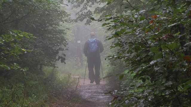 bieszczady-lipiec-2010-136