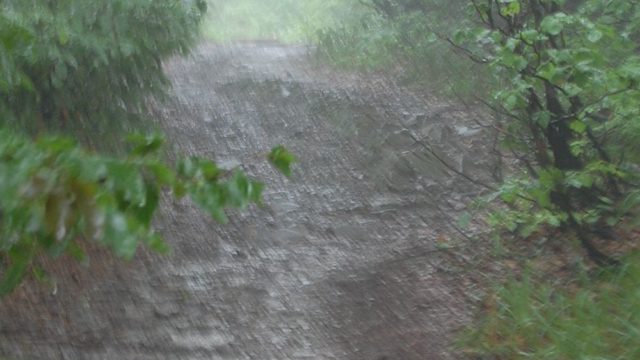 bieszczady-lipiec-2010-144