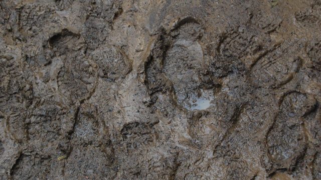 bieszczady-lipiec-2010-148