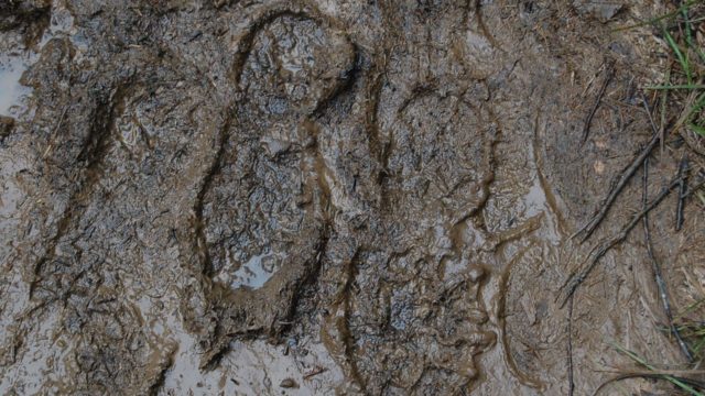 bieszczady-lipiec-2010-150