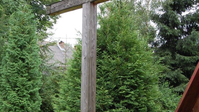 bieszczady-wetlina-ustrzyki-gorne-asfalt-lipiec-2010-045