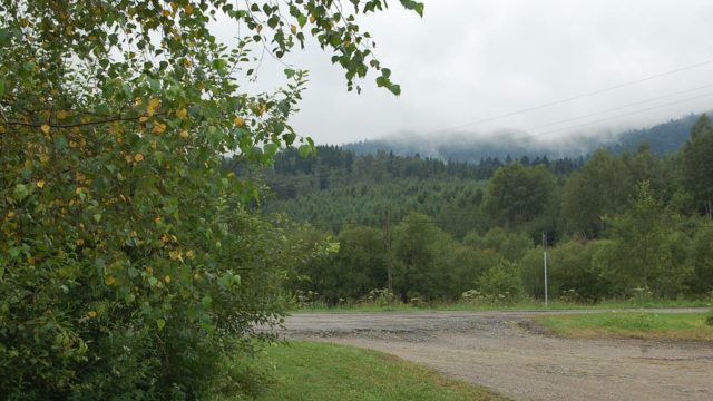 bieszczady-wetlina-ustrzyki-gorne-asfalt-lipiec-2010-076