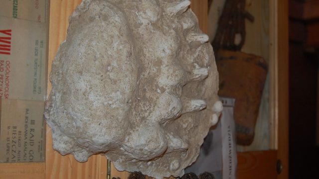 huculi-muzeum-pttki-ustrzyki-gorne-bieszczady-lipiec-2010-002