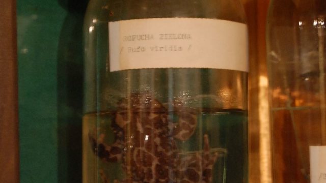 huculi-muzeum-pttki-ustrzyki-gorne-bieszczady-lipiec-2010-008