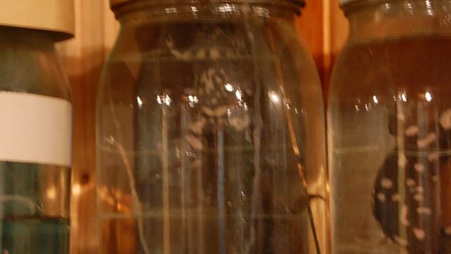 huculi-muzeum-pttki-ustrzyki-gorne-bieszczady-lipiec-2010-009