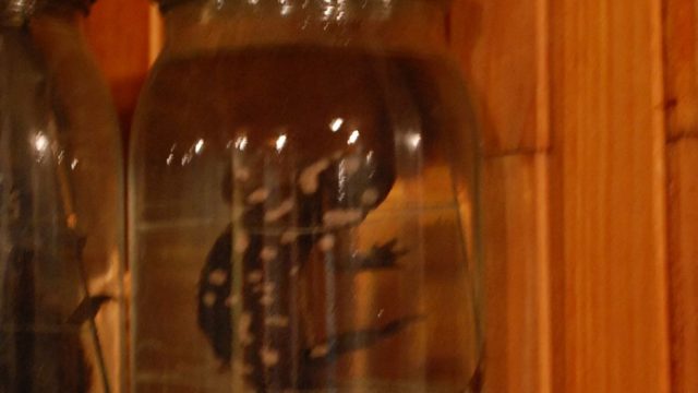 huculi-muzeum-pttki-ustrzyki-gorne-bieszczady-lipiec-2010-010