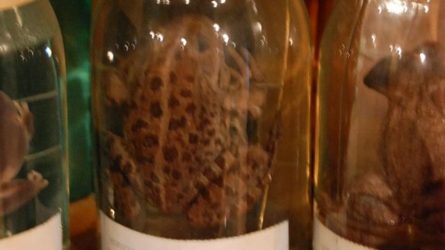 huculi-muzeum-pttki-ustrzyki-gorne-bieszczady-lipiec-2010-012