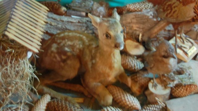 huculi-muzeum-pttki-ustrzyki-gorne-bieszczady-lipiec-2010-017