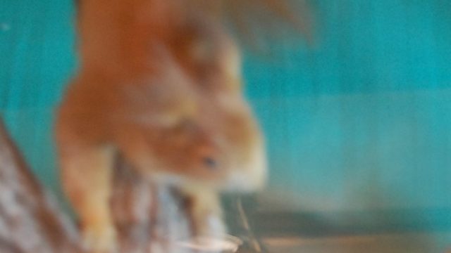 huculi-muzeum-pttki-ustrzyki-gorne-bieszczady-lipiec-2010-021