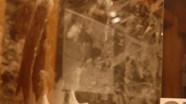 huculi-muzeum-pttki-ustrzyki-gorne-bieszczady-lipiec-2010-051