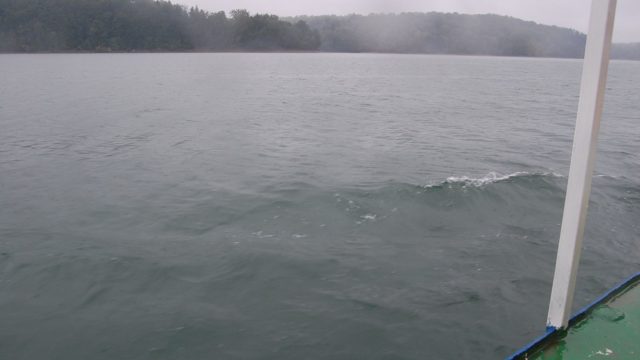 solina-rejs-polanczyk-lipiec-2010-097