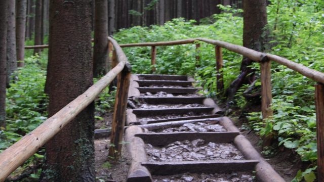 rusinowa-polana-wiktorowki-szlak-oscypka-oscypek-lipiec-2010-001