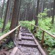 Szlak oscypka – Tatry, Pieniny