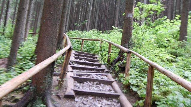 rusinowa-polana-wiktorowki-szlak-oscypka-oscypek-lipiec-2010-002