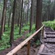 Szlak oscypka – Tatry, Pieniny