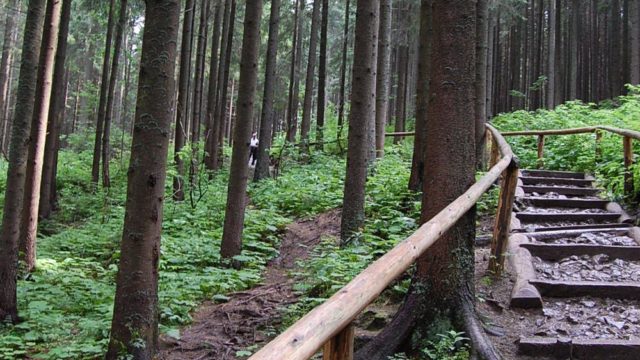 rusinowa-polana-wiktorowki-szlak-oscypka-oscypek-lipiec-2010-003