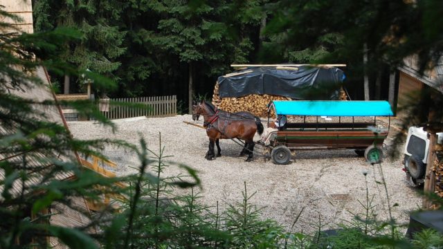 rusinowa-polana-wiktorowki-szlak-oscypka-oscypek-lipiec-2010-012