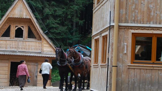 rusinowa-polana-wiktorowki-szlak-oscypka-oscypek-lipiec-2010-074