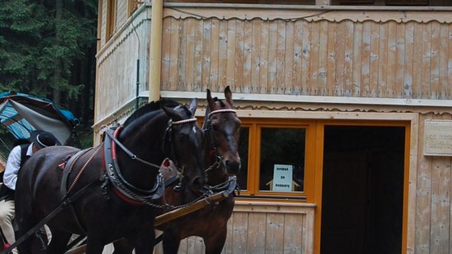 rusinowa-polana-wiktorowki-szlak-oscypka-oscypek-lipiec-2010-077