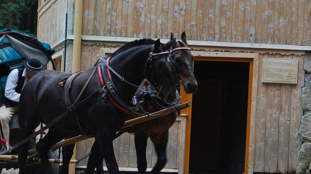 rusinowa-polana-wiktorowki-szlak-oscypka-oscypek-lipiec-2010-078