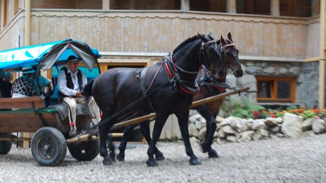 rusinowa-polana-wiktorowki-szlak-oscypka-oscypek-lipiec-2010-079