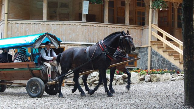 rusinowa-polana-wiktorowki-szlak-oscypka-oscypek-lipiec-2010-080